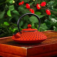 Чайник с ситом 500 мл "Марокко", цвет красный, с эмалированным покр от магазина Казан мангал 24 Екареринбург