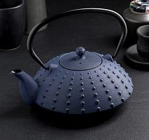 Чайник с ситом 1 л "Байсан", цвет синий от магазина Казан мангал 24 Екареринбург
