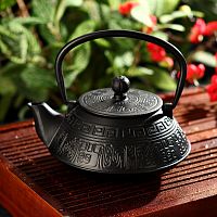 Чайник с ситом «Афродита» 800 мл, цвет чёрный от магазина Казан мангал 24 Екареринбург