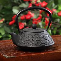 Чайник с ситом 900 мл "Джана", цвет черный от магазина Казан мангал 24 Екареринбург