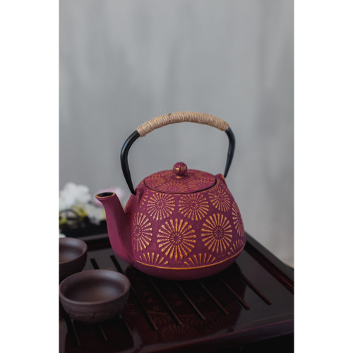Чайник с ситом 850 мл "Тео", цвет красный от магазина Казан мангал 24 Екареринбург фото 2