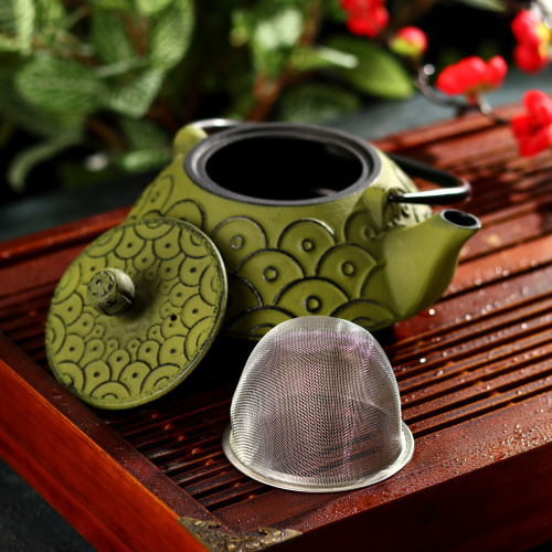 Чайник с ситом 800 мл "Джана", цвет зеленый от магазина Казан мангал 24 Екареринбург фото 3