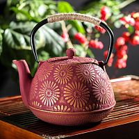 Чайник с ситом 850 мл "Тео", цвет красный от магазина Казан мангал 24 Екареринбург