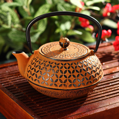 Чайник с ситом 1 л "Лайан", цвет оранжевый от магазина Казан мангал 24 Екареринбург
