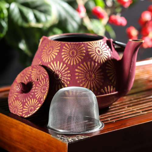 Чайник с ситом 850 мл "Тео", цвет красный от магазина Казан мангал 24 Екареринбург фото 7