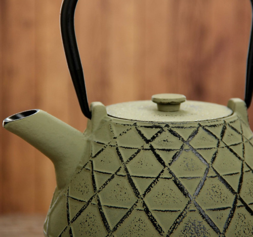 Чайник с ситом 1 л "Ламис", цвет зеленый от магазина Казан мангал 24 Екареринбург фото 6